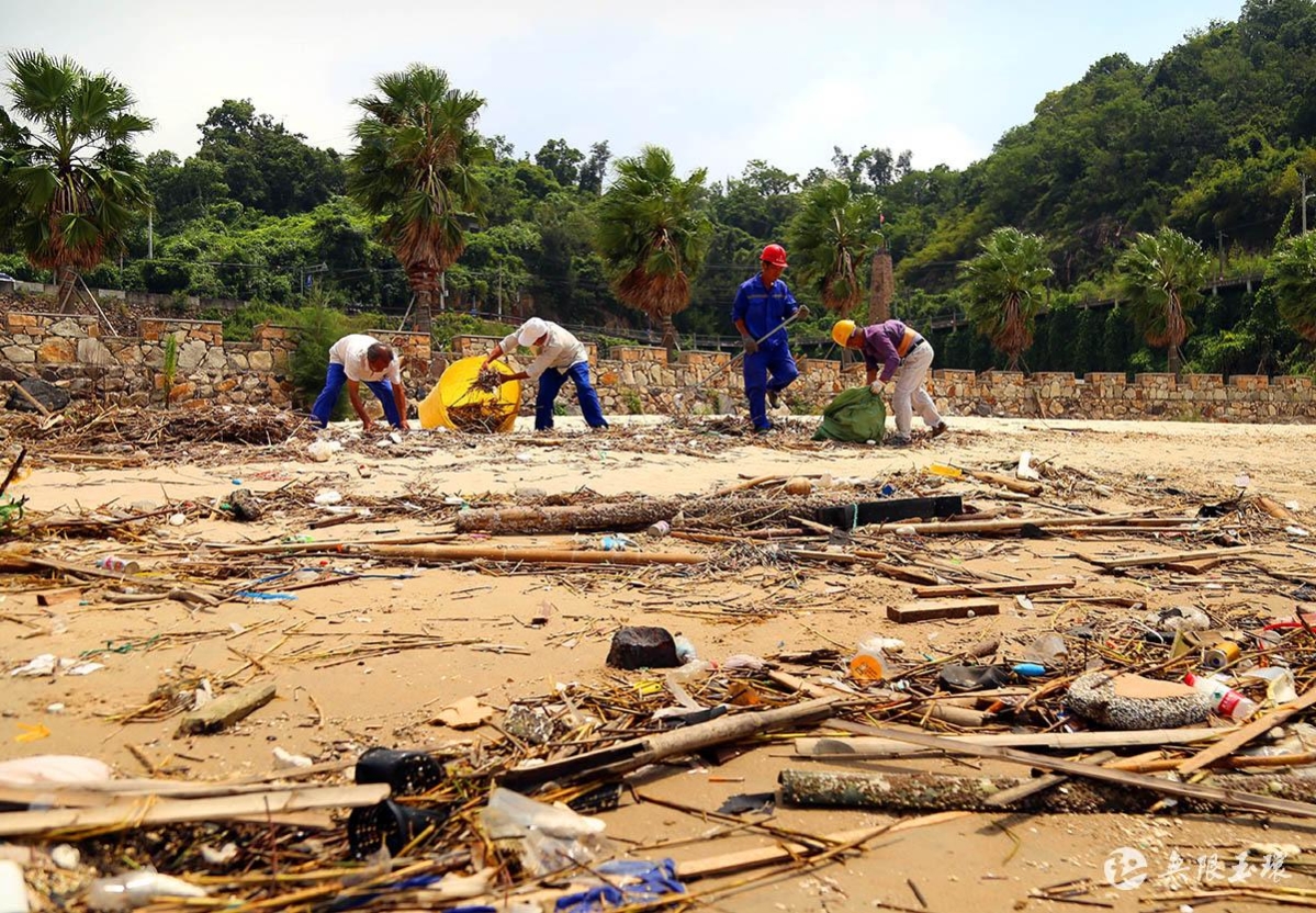 干江：清理海滩垃圾 保护海洋环境